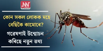 কোন সকল লোকক মহে বেছিকৈ কামোৰে? গৱেষণাই উন্মোচন কৰিছে নতুন তথ্য