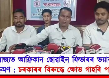ৰাজ্যত আফ্ৰিকান ছোৱাইন ফিভাৰৰ ভয়াৱহ সংক্ৰমণ: চৰকাৰৰ বিৰুদ্ধে ক্ষোভ গাহৰি পালকৰ