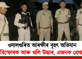 ওদালগুৰিত আৰক্ষীৰ বৃহৎ অভিযান: বিস্ফোৰক আৰু গুলি উদ্ধাৰ, এজন গ্ৰেপ্তাৰ