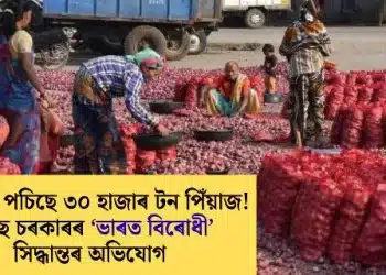 সীমান্তত পচিছে ৩০ হাজাৰ টন পিঁয়াজ! ইউনুছ চৰকাৰৰ ‘ভাৰত বিৰোধী’ সিদ্ধান্তৰ অভিযোগ
