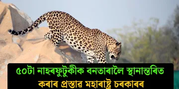৫০টা নাহৰফুটুকীক বনতাৰালৈ স্থানান্তৰিত কৰাৰ প্ৰস্তাৱ মহাৰাষ্ট্ৰ চৰকাৰৰ