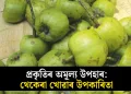 প্ৰকৃতিৰ অমূল্য উপহাৰ: থেকেৰা খোৱাৰ উপকাৰিতা