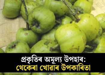 প্ৰকৃতিৰ অমূল্য উপহাৰ: থেকেৰা খোৱাৰ উপকাৰিতা