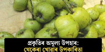প্ৰকৃতিৰ অমূল্য উপহাৰ: থেকেৰা খোৱাৰ উপকাৰিতা