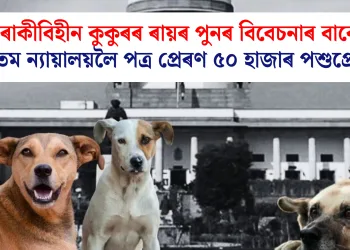 গৰাকীবিহীন কুকুৰৰ ৰায়ৰ পুনৰ বিবেচনাৰ বাবে উচ্চতম ন্যায়ালয়লৈ পত্ৰ প্ৰেৰণ ৫০ হাজাৰ পশুপ্ৰেমীৰ