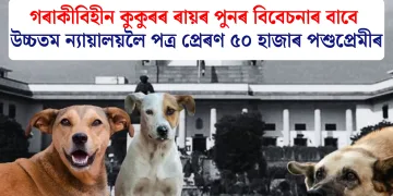 গৰাকীবিহীন কুকুৰৰ ৰায়ৰ পুনৰ বিবেচনাৰ বাবে উচ্চতম ন্যায়ালয়লৈ পত্ৰ প্ৰেৰণ ৫০ হাজাৰ পশুপ্ৰেমীৰ