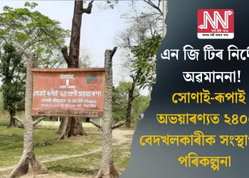 এন জি টিৰ নিৰ্দেশ অৱমাননা! সোণাই-ৰূপাই অভয়াৰণ্যত ২৪০০ বেদখলকাৰীক সংস্থাপনৰ পৰিকল্পনা