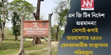 এন জি টিৰ নিৰ্দেশ অৱমাননা! সোণাই-ৰূপাই অভয়াৰণ্যত ২৪০০ বেদখলকাৰীক সংস্থাপনৰ পৰিকল্পনা