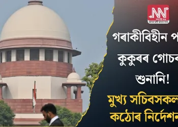গৰাকীবিহীন পথৰ কুকুৰৰ গোচৰৰ শুনানি! মুখ্য সচিবসকললৈ কঠোৰ নিৰ্দেশনা