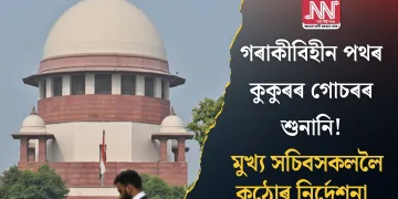 গৰাকীবিহীন পথৰ কুকুৰৰ গোচৰৰ শুনানি! মুখ্য সচিবসকললৈ কঠোৰ নিৰ্দেশনা