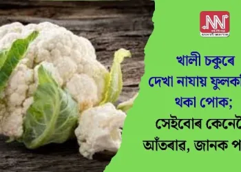 খালী চকুৰে দেখা নাযায় ফুলকবিত থকা পোক; সেইবোৰ কেনেকৈ আঁতৰাৱ, জানক পদ্ধতি