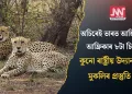 অচিৰেই ভাৰত আহি পাব আফ্ৰিকাৰ ৮টা চিতা; কুনো ৰাষ্ট্ৰীয় উদ্যানত মুকলিৰ প্ৰস্তুতি