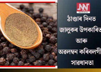 ঠাণ্ডাৰ দিনত জালুকৰ উপকাৰিতা আৰু অৱলম্বন কৰিবলগীয়া সাৱধানতা