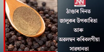 ঠাণ্ডাৰ দিনত জালুকৰ উপকাৰিতা আৰু অৱলম্বন কৰিবলগীয়া সাৱধানতা