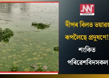 দীপৰ বিলত ভয়াৱহ ৰূপলৈছে প্ৰদূষণে! শংকিত পৰিৱেশবিদসকল