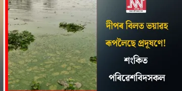 দীপৰ বিলত ভয়াৱহ ৰূপলৈছে প্ৰদূষণে! শংকিত পৰিৱেশবিদসকল