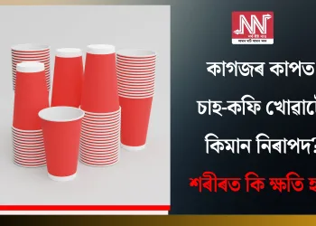 কাগজৰ কাপত চাহ-কফি খোৱাটো কিমান নিৰাপদ? শৰীৰত কি ক্ষতি হয়!