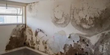 বৰষুণৰ বতৰত ঘৰৰ সেমেকা ভাৱ কিদৰে আঁতৰ কৰিব?