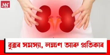 বৃক্কৰ সমস্যা, লক্ষণ আৰু প্ৰতিকাৰ