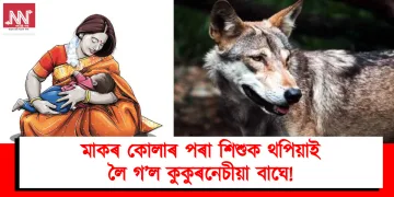 মাকৰ কোলাৰ পৰা শিশুক থপিয়াই লৈ গ’ল কুকুৰনেচীয়া বাঘে!