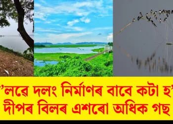 এইবাৰ দীপৰ বিলৰ শতিকা পুৰণি গছৰ ওপৰত চৰকাৰৰ শেন চকু : ৰে’লৱে দলং নিৰ্মাণৰ বাবে কটা হ’ব এশৰো অধিক গছ