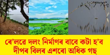 এইবাৰ দীপৰ বিলৰ শতিকা পুৰণি গছৰ ওপৰত চৰকাৰৰ শেন চকু : ৰে’লৱে দলং নিৰ্মাণৰ বাবে কটা হ’ব এশৰো অধিক গছ