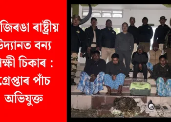 কাজিৰঙা ৰাষ্ট্ৰীয় উদ্যানত বন্য পক্ষী চিকাৰ : গ্ৰেপ্তাৰ পাঁচ অভিযুক্ত