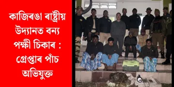 কাজিৰঙা ৰাষ্ট্ৰীয় উদ্যানত বন্য পক্ষী চিকাৰ : গ্ৰেপ্তাৰ পাঁচ অভিযুক্ত