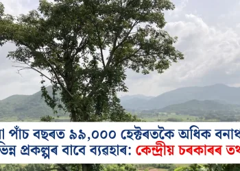 যোৱা পাঁচ বছৰত ৯৯,০০০ হেক্টৰতকৈ অধিক বনাঞ্চল বিভিন্ন প্ৰকল্পৰ বাবে ব্যৱহাৰ: কেন্দ্ৰীয় চৰকাৰৰ তথ্য