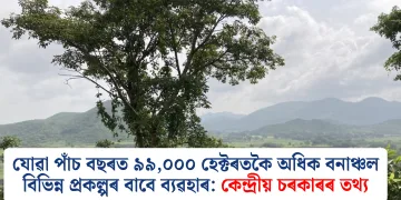 যোৱা পাঁচ বছৰত ৯৯,০০০ হেক্টৰতকৈ অধিক বনাঞ্চল বিভিন্ন প্ৰকল্পৰ বাবে ব্যৱহাৰ: কেন্দ্ৰীয় চৰকাৰৰ তথ্য