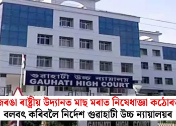 কাজিৰঙা ৰাষ্ট্ৰীয় উদ্যানত মাছ মৰাত নিষেধাজ্ঞা কঠোৰভাৱে বলবৎ কৰিবলৈ নিৰ্দেশ গুৱাহাটী উচ্চ ন্যায়ালয়ৰ