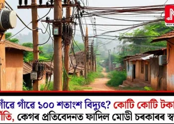 গাঁৱে গাঁৱে ১০০ শতাংশ বিদ্যুৎ? কোটি কোটি টকাৰ দুৰ্নীতি, কেগৰ প্ৰতিবেদনত ফাদিল মোডী চৰকাৰৰ স্বৰূপ