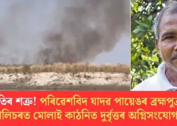 প্ৰকৃতিৰ শত্ৰু! পৰিৱেশবিদ যাদৱ পায়েঙৰ ব্ৰহ্মপুত্ৰৰ বালিচৰত মোলাই কাঠনিত দুৰ্বৃত্তৰ অগ্নিসংযোগ