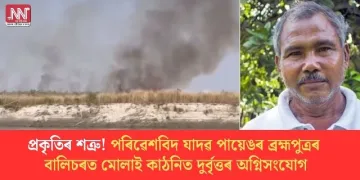 প্ৰকৃতিৰ শত্ৰু! পৰিৱেশবিদ যাদৱ পায়েঙৰ ব্ৰহ্মপুত্ৰৰ বালিচৰত মোলাই কাঠনিত দুৰ্বৃত্তৰ অগ্নিসংযোগ