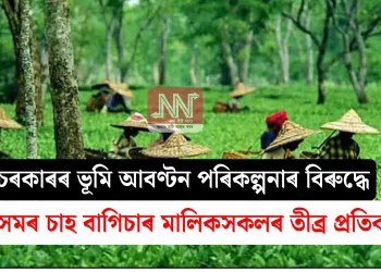 চৰকাৰৰ ভূমি আবণ্টন পৰিকল্পনাৰ বিৰুদ্ধে অসমৰ চাহ বাগিচাৰ মালিকসকলৰ তীব্ৰ প্ৰতিবাদ