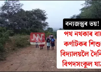 বন্যজন্তুৰ ভয়! পথ নথকাৰ বাবে কৰ্ণাটকৰ শিশুৰ বিদ্যালয়লৈ দৈনিক বিপদসংকুল যাত্ৰা