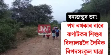 বন্যজন্তুৰ ভয়! পথ নথকাৰ বাবে কৰ্ণাটকৰ শিশুৰ বিদ্যালয়লৈ দৈনিক বিপদসংকুল যাত্ৰা