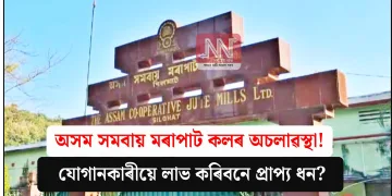 অসম সমবায় মৰাপাট কলৰ অচলাৱস্থা! যোগানকাৰীয়ে লাভ কৰিবনে প্ৰাপ্য ধন?