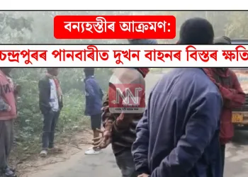 বন্যহস্তীৰ আক্ৰমণ: চন্দ্ৰপুৰৰ পানবাৰীত দুখন বাহনৰ বিস্তৰ ক্ষতি