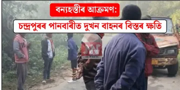বন্যহস্তীৰ আক্ৰমণ: চন্দ্ৰপুৰৰ পানবাৰীত দুখন বাহনৰ বিস্তৰ ক্ষতি