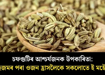 চফগুটিৰ আশ্চৰ্যজনক উপকাৰিতা: বদহজমৰ পৰা ওজন হ্ৰাসলৈকে সকলোতে ই মহৌষধ