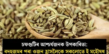 চফগুটিৰ আশ্চৰ্যজনক উপকাৰিতা: বদহজমৰ পৰা ওজন হ্ৰাসলৈকে সকলোতে ই মহৌষধ