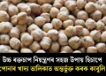 উচ্চ ৰক্তচাপ নিয়ন্ত্ৰণৰ সহজ উপায় হিচাপে আপোনাৰ খাদ্য তালিকাত অন্তৰ্ভুক্ত কৰক কাবুলি বুট