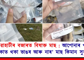 গুৱাহাটীৰ বজাৰত বিষাক্ত মাছ : আপোনাৰ খাদ্য তালিকাত থকা ভাঙৰ আৰু নাৰ’ মাছ কিমান সুৰক্ষিত?