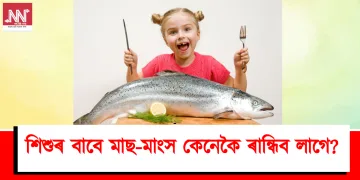 শিশুৰ বাবে মাছ-মাংস কেনেকৈ ৰান্ধিব লাগে? জানো আহক