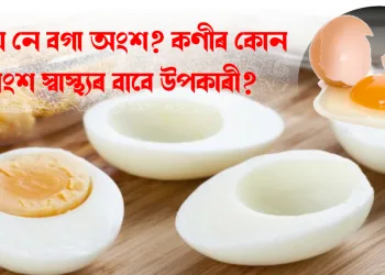 কুহুম নে বগা অংশ? কণীৰ কোন অংশ স্বাস্থ্যৰ বাবে উপকাৰী?