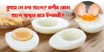কুহুম নে বগা অংশ? কণীৰ কোন অংশ স্বাস্থ্যৰ বাবে উপকাৰী?