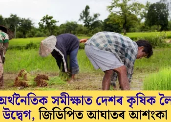 অৰ্থনৈতিক সমীক্ষাত দেশৰ কৃষিক লৈ উদ্বেগ, জিডিপিত আঘাতৰ আশংকা