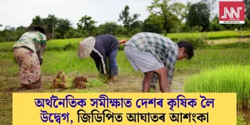 অৰ্থনৈতিক সমীক্ষাত দেশৰ কৃষিক লৈ উদ্বেগ, জিডিপিত আঘাতৰ আশংকা