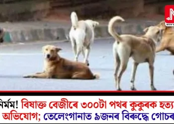 নিৰ্মম! বিষাক্ত বেজীৰে ৩০০টা পথৰ কুকুৰক হত্যাৰ অভিযোগ; তেলেংগানাত ৯জনৰ বিৰুদ্ধে গোচৰ
